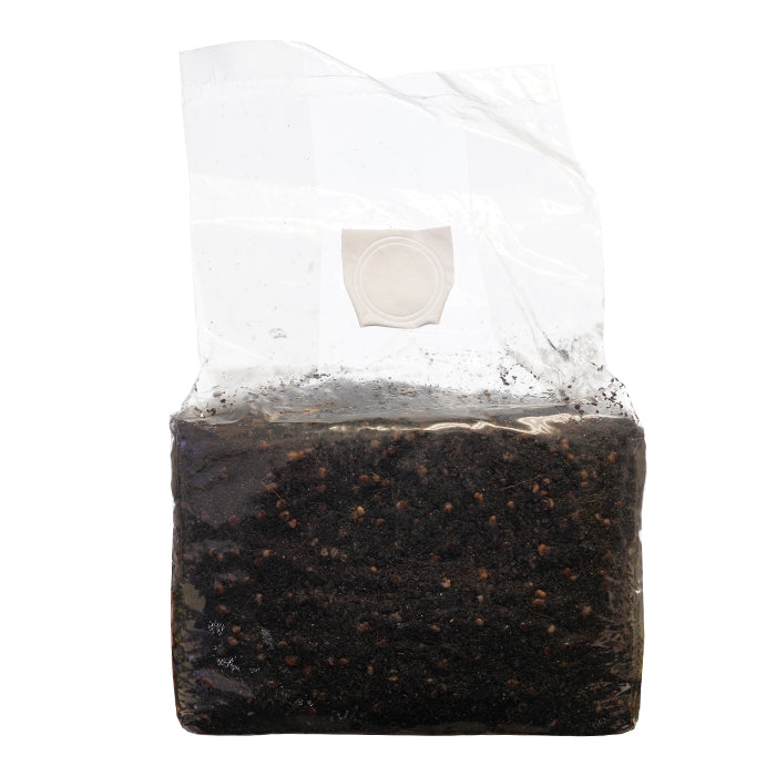 SuperSpore All-In-One Mushroom Substrate Grow Bag 6 - 7lbs