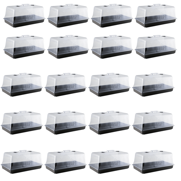 Propagation Seed and Clone Starter Tray and Dome - 20 Pack front of all trays and domes