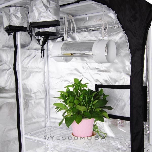 LAGarden 48" x 36" x 70" Mylar Reflective 2in1 Hydroponic Indoor Grow Tent with plant inside