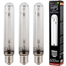 Grow Lights Yield Lab HPS 600w Lamp HID Bulb (3 Pack) next to box