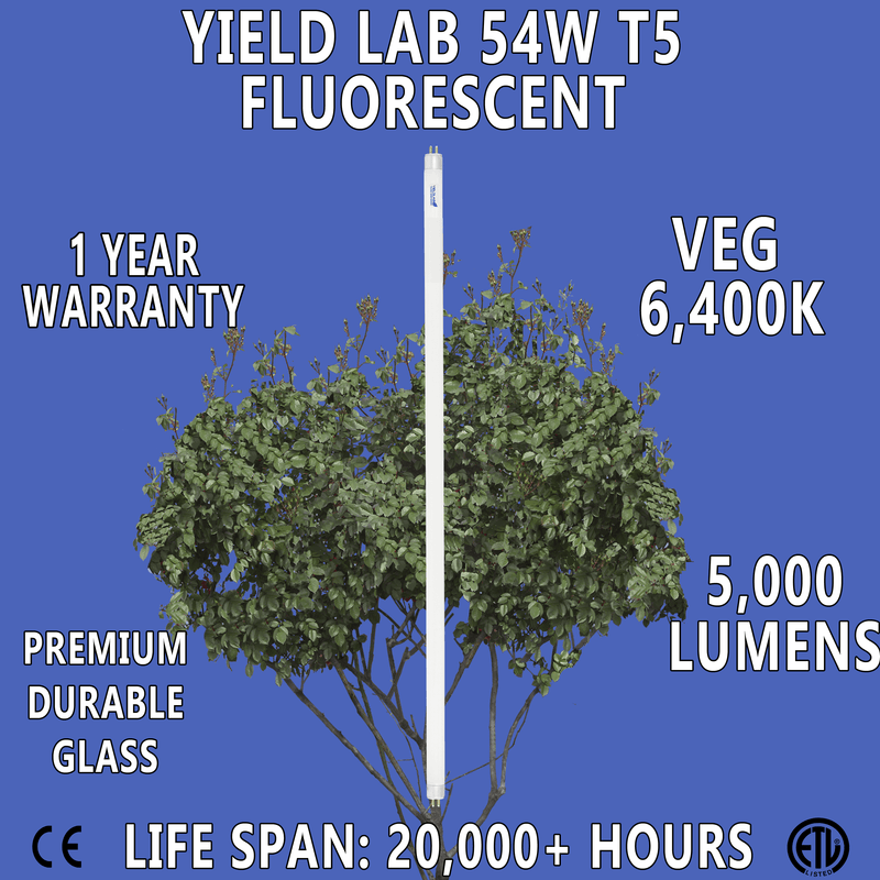 Yield Lab 54w T5 Fluorescent Grow Light Bulbs (6400k), 5 Pack bulb features