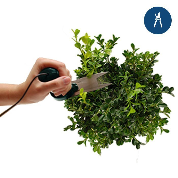 Growing Essentials Trim'r Matic Electric Hand Held Trimmer cutting bush