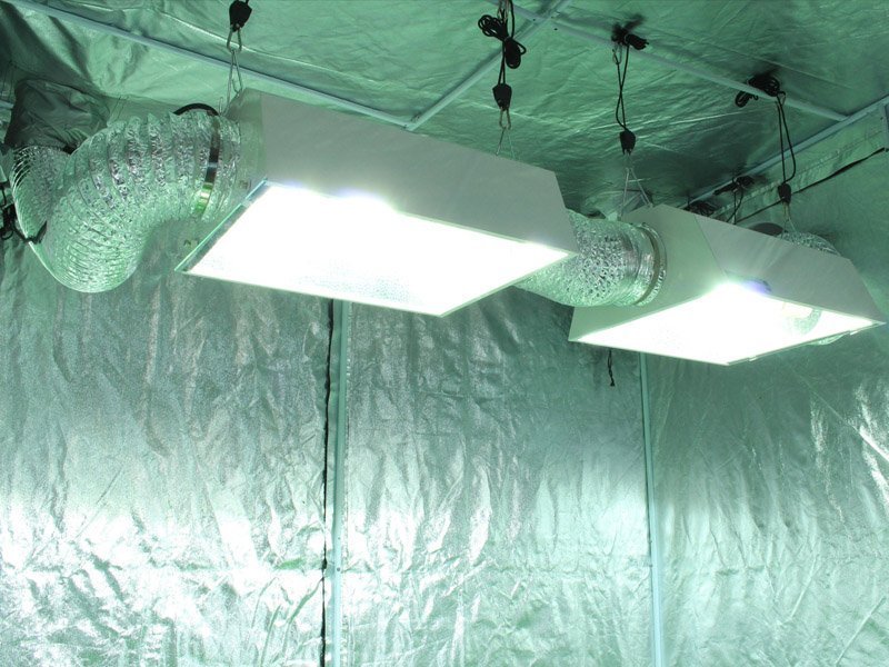6.5x6.5ft HID Soil Complete Indoor Grow Tent System lights in tent