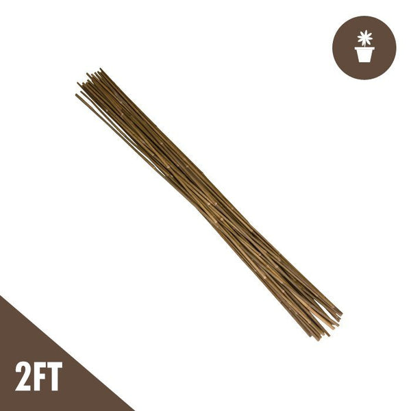 Growing Essentials 2' Bamboo Stakes top view