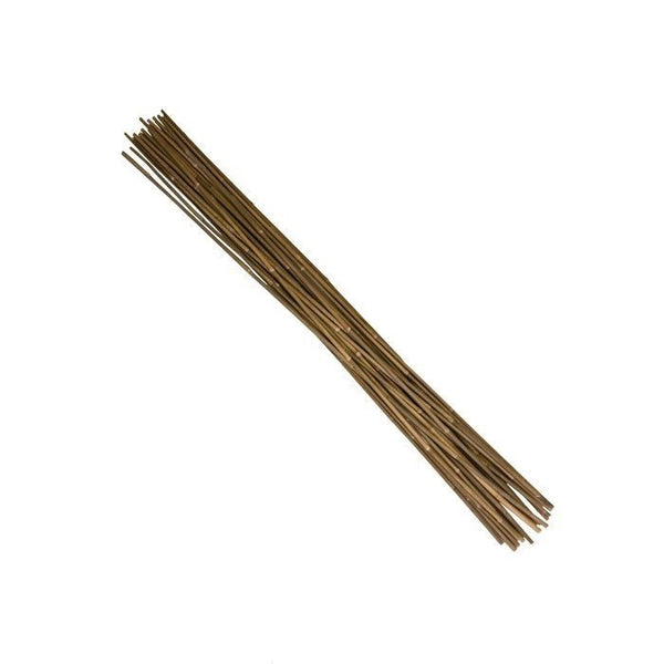Growing Essentials 5' Natural Bamboo Stakes Bulk (250/bale) top view