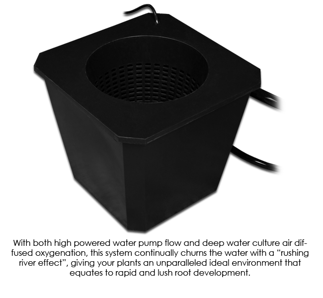 Hydroponics SuperPonics BubbleFlow Bucket 8 Site DWC System bucket features