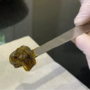 Harvest Rosin Press Rosinbomb Rocket Quality