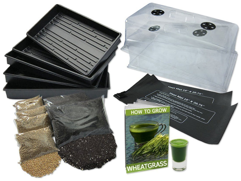 Horticulture Grow Kit Yield Lab Wheat Grass Novice Main