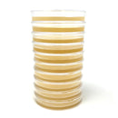 Horticulture Grow Mycology Olympus Myco Agar Stack