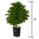 Current Culture H2O Under Current RDWC Hydroponic System - 13 Gallon, 40" Spacing