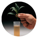 Hydroponic Grow Nutrients Dip N Grow 16oz Uses