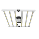 LED Grow Light Mammoth Lighting 6 Bar Front