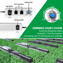 LED Grow Light Mars Hydro SP 6500 Daisy