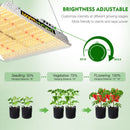 LED Grow Light Mars Hydro TS 1000 Height