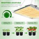LED Grow Light Mars Hydro TS 3000 Height