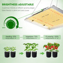 LED Grow Light Mars Hydro TSW 2000 Dimmer