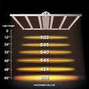 LED Grow Light Medic Grow Fold-6 Height
