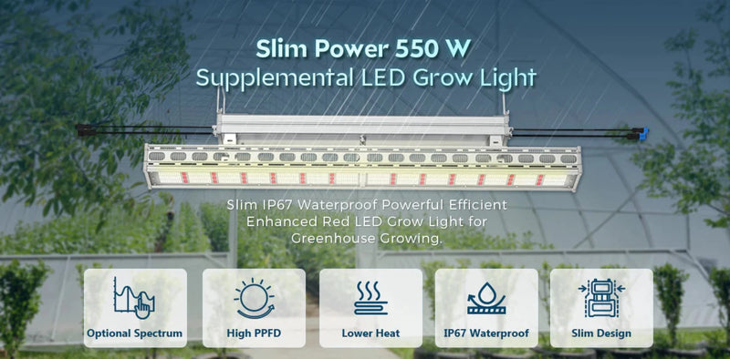 LED Grow Light Medic Grow Slim Power 2 Options