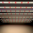 LED Grow Light Medic Grow Spectrum Y Wireless Diodes