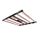 LED Grow Light Photontek X 600W Main