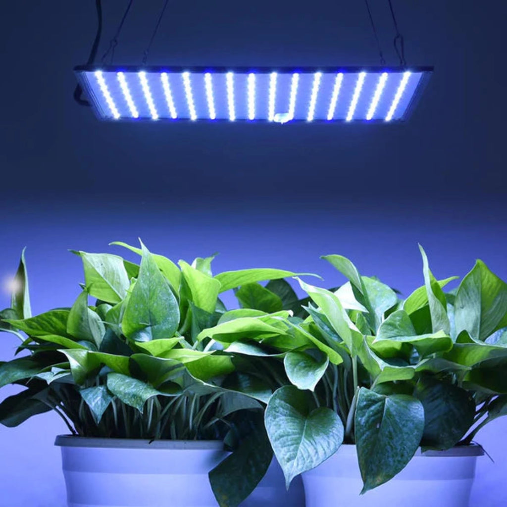 led plant grow light panel Super Ultrathin 225 Blue White LED Grow Light Panel