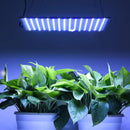 LED Grow Light Yescom 225 BlueWhite Main