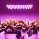 LED Grow Light Yescom 225 Main