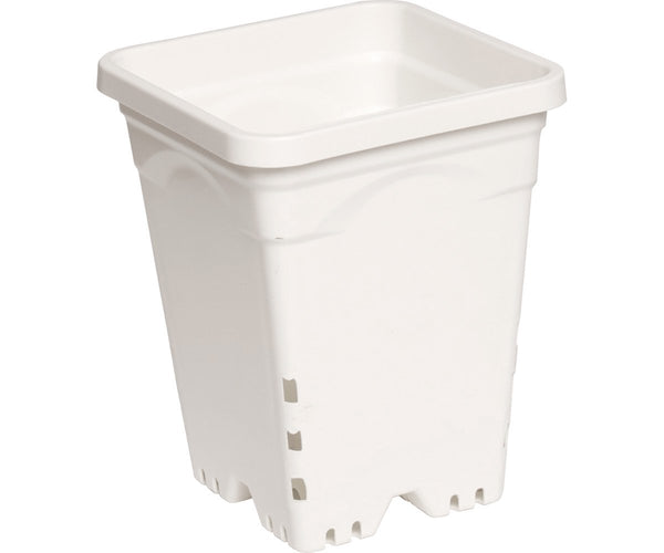 Growing Essentials Active Aqua 6" x 6" Square White Pot, 8" Tall, case of 50 side
