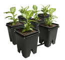 Growing Essentials Active Aqua Grow Flow 2.0 Expansion Kit w/six 5 gal Square Pots  side profile
