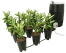 Hydroponics Active Aqua Grow Flow 2 gal System w/Controller Unit & 1/2" Tubing setup