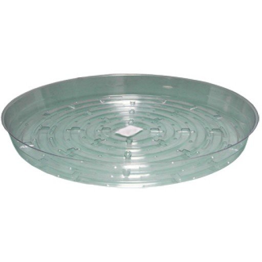 Growing Essentials 10" Clear Saucer (Minimum Order 25 Units) side profile