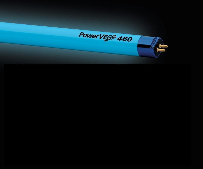 Grow Lights PowerVEG T5 4' 460 Blue Grow Light close up