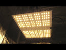 HLG 100 V2 LED GROW LIGHT PAR TEST! - HORTICULTURE LIGHTING GROUP