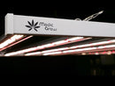 LED Grow Light Medic Grow Smart-8 Review Video