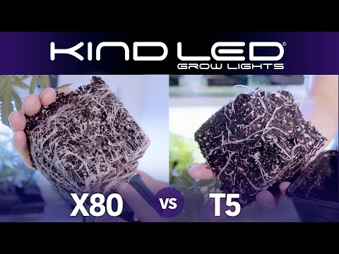 Kind X750 Targeted Full Spectrum LED