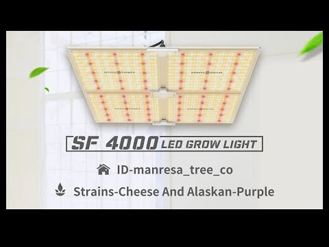 spider farmer sf 4000 distance from plants Spider Farmer 450W SF4000 LED Grow Light System