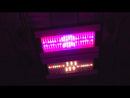 California Lightworks SolarSystem 1100 LED Grow Light PAR Test!