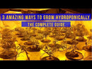 Hydroponic System Guide