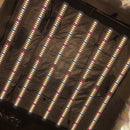 LED Grow Light Growers Choice ROI E680 Horticultural LED Lighting System Close up