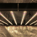 LED Grow Light Growers Choice ROI E680 Horticultural LED Lighting System Full-Power