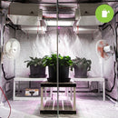 Growing Essentials Robomist 4 Nozzle Upgrade Kit front of grow room