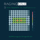 Scynceled Raging Kale LED Grow Light System par chart