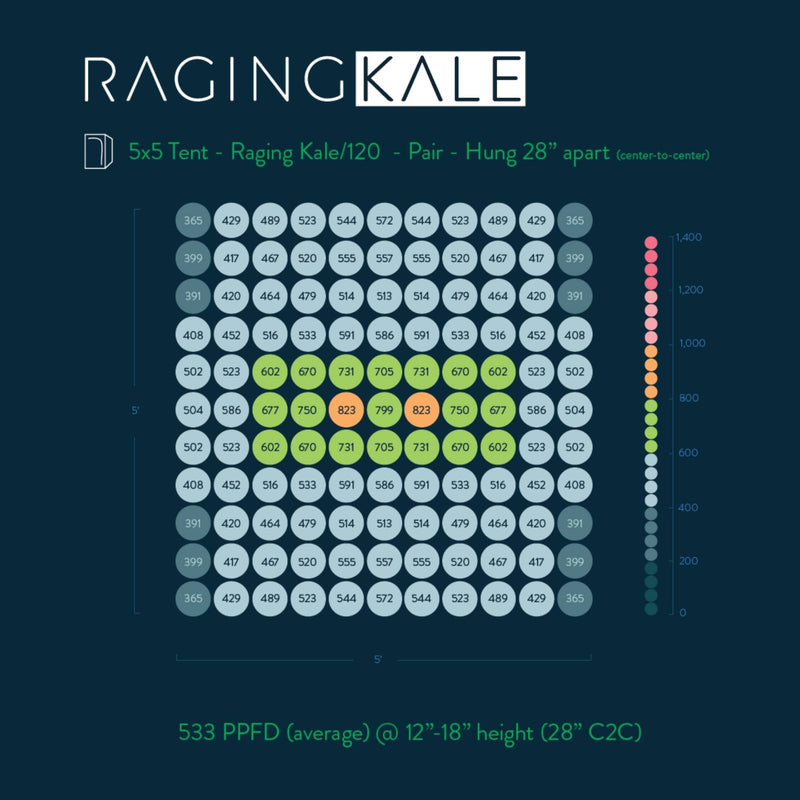 Scynceled Raging Kale LED Grow Light System par chart