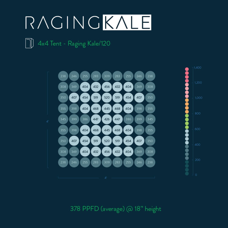 Scynceled Raging Kale LED Grow Light System par chart